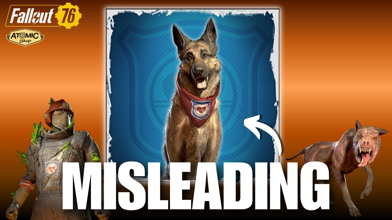 Даже GAME RANT отмечает маркетинговые практики Bethesda + обзор First Response Bundle Fallout 76