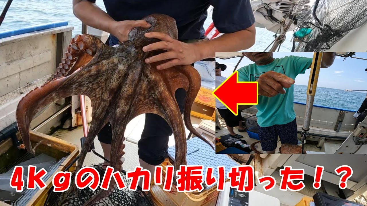 【超速報】クラーケン出現！明石沖タコ釣り
