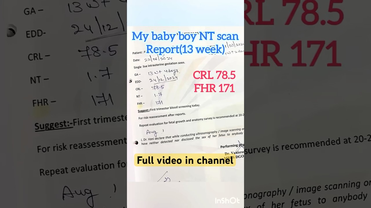 NT scan report at 13 weeks #pregnancy #ultrasound #ntscan #babyboy #cute  #baby #trending #newborn