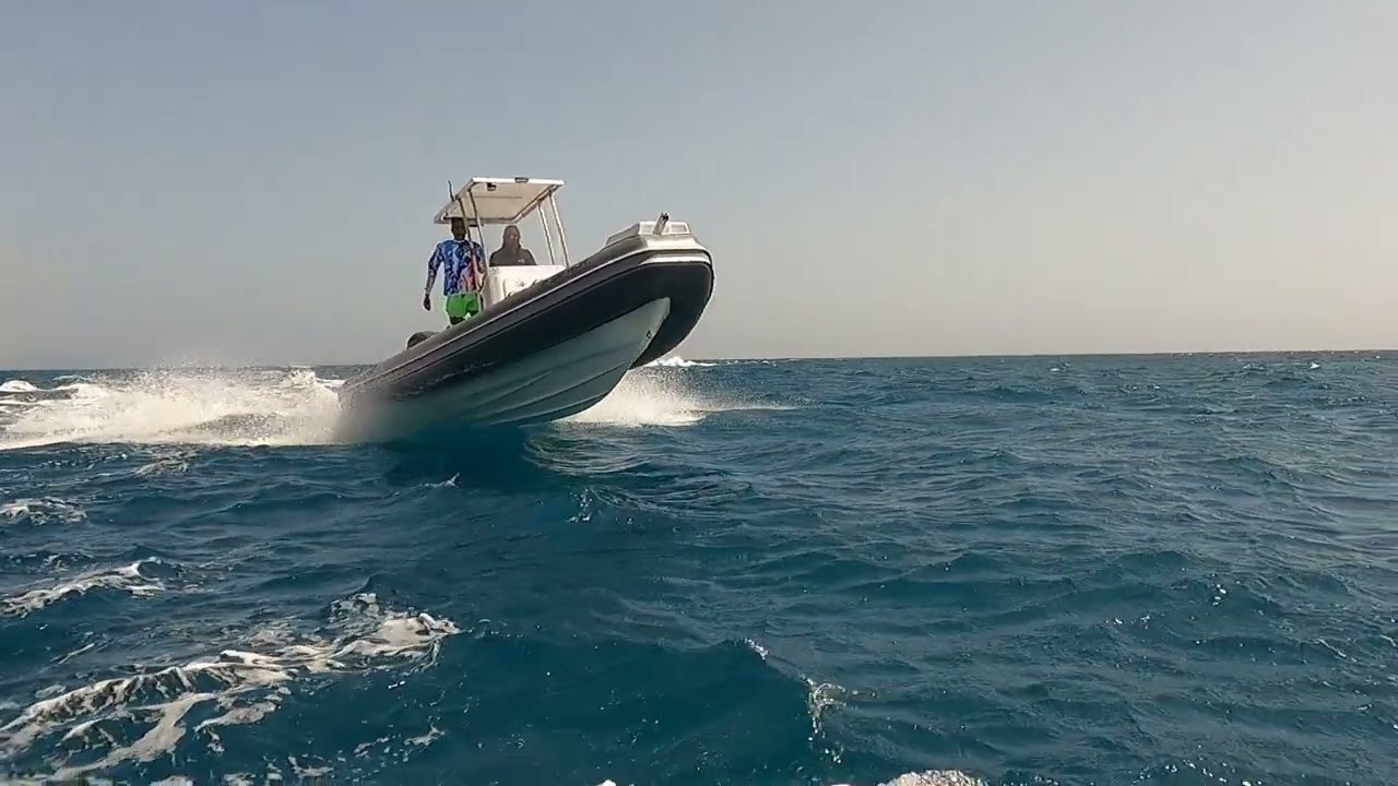 ZURITA 650 FISHER Semirrígido de seis metros y medio | zodiac | RIB 650 Gommone | V profunda