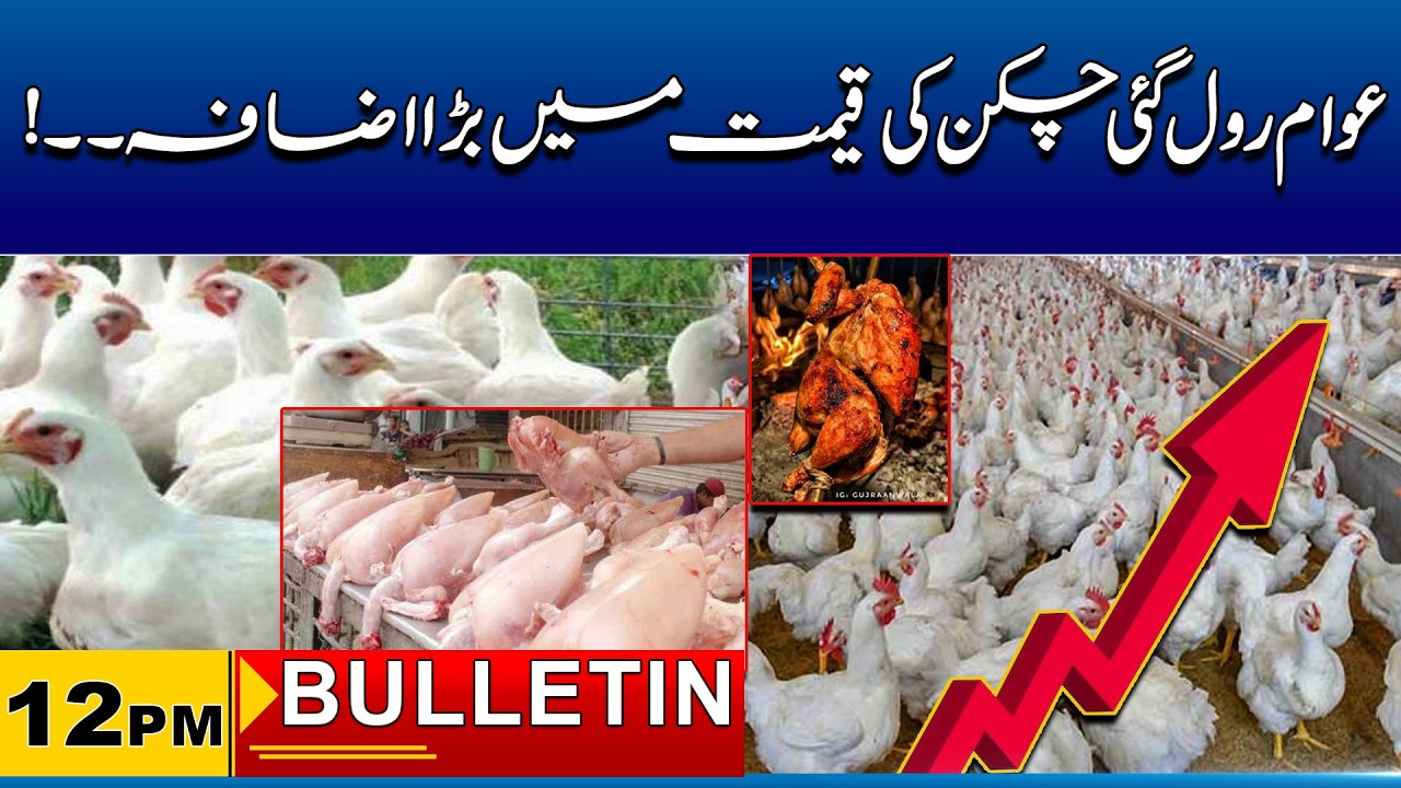 12 PM News Bulliten I 27 Feb 2026 I City41