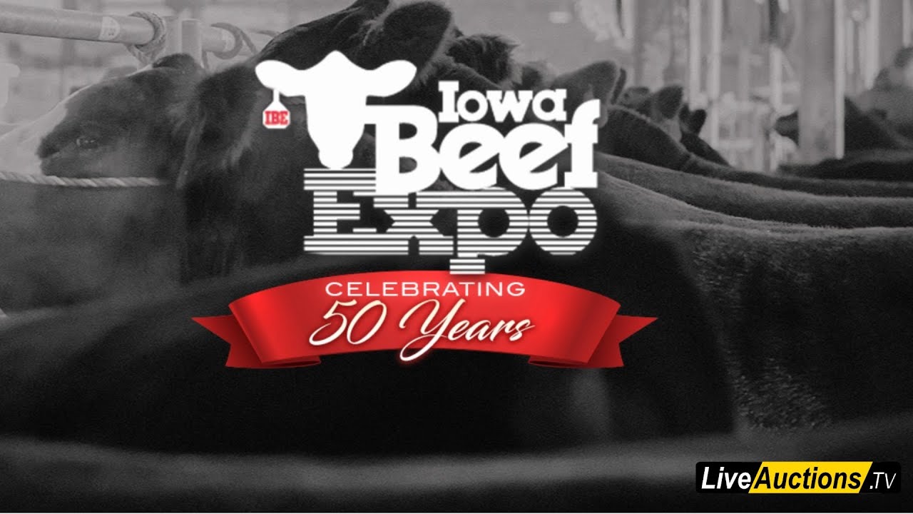 2026 Iowa Beef Expo IJBBA Junior Show Heifer Ring