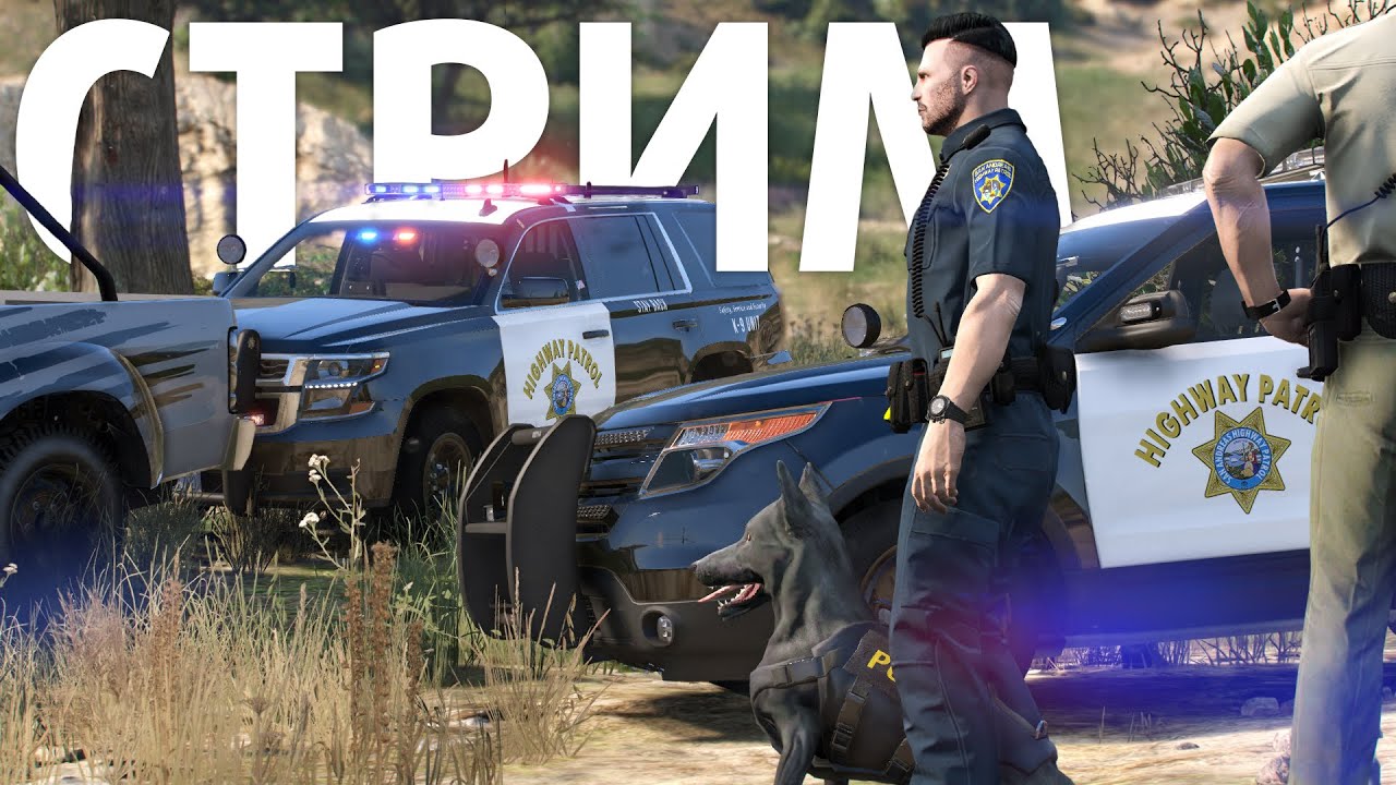 ЩЕНЯЧИЙ ПАТРУЛЬ — YDDY:RP #275 (СТРИМ К-9)