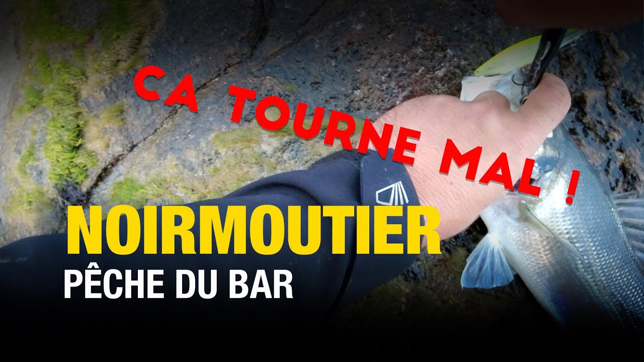 Pêche du bar qui tourne mal à #noirmoutier