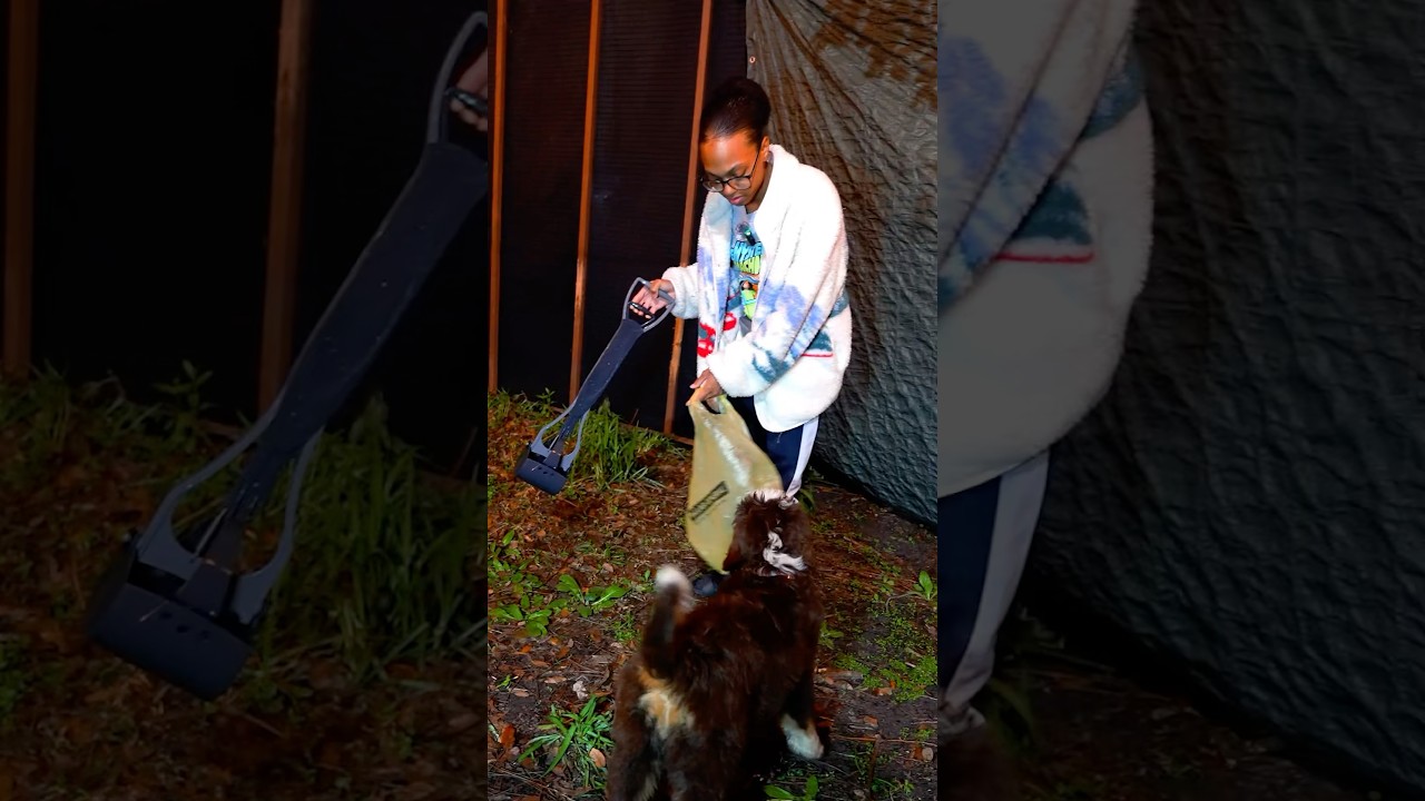 Picking up puppy poop #puppy #puppylove #pet