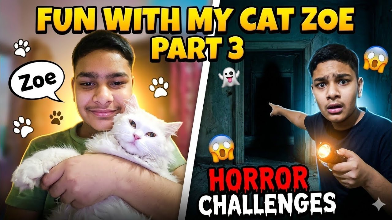 Fun with my cat zoe part 3 and horror challenges