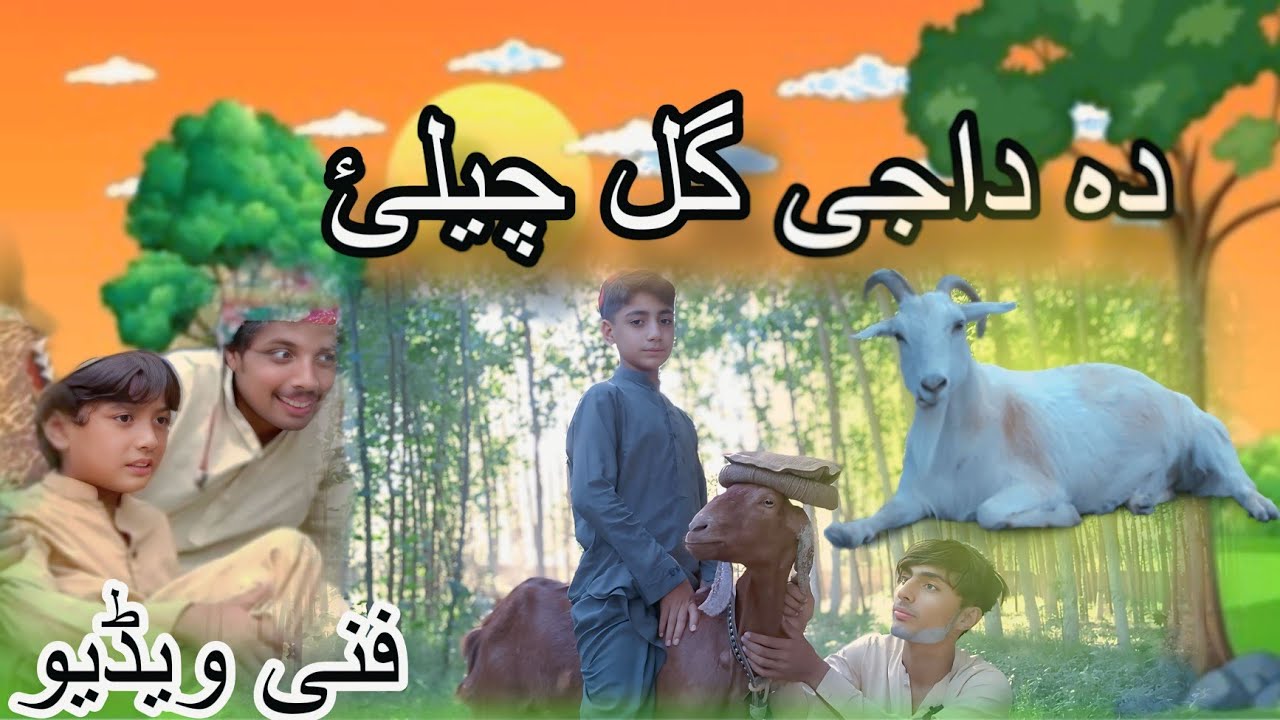 DA DAJI Gull CHELA || Pastho Funny Video By Turangzai Vines By Turangzai Vines 2025#tutigullvines