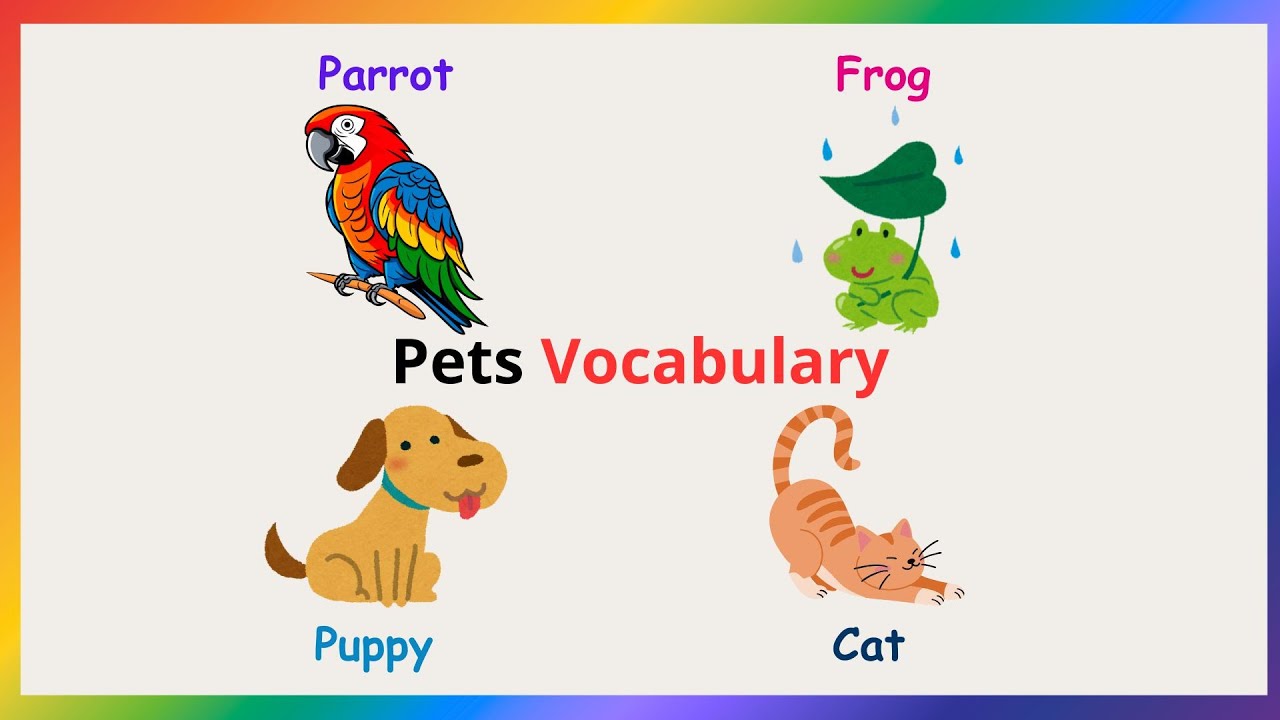 Speak English with Kids | Daily English Sentences | Learn English Together
