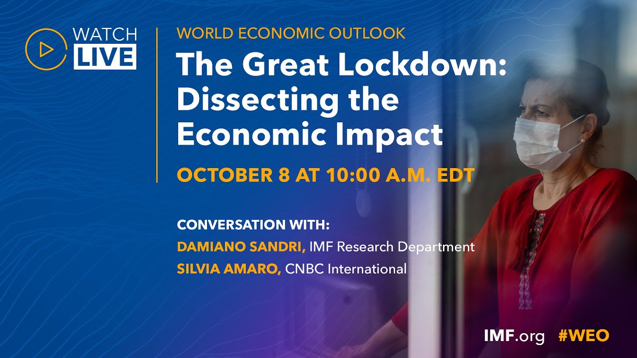 The Great Lockdown: Dissecting the Economic Effects
