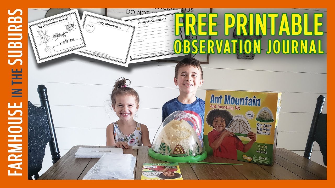 Insect Lore Live Ant Mountain Review