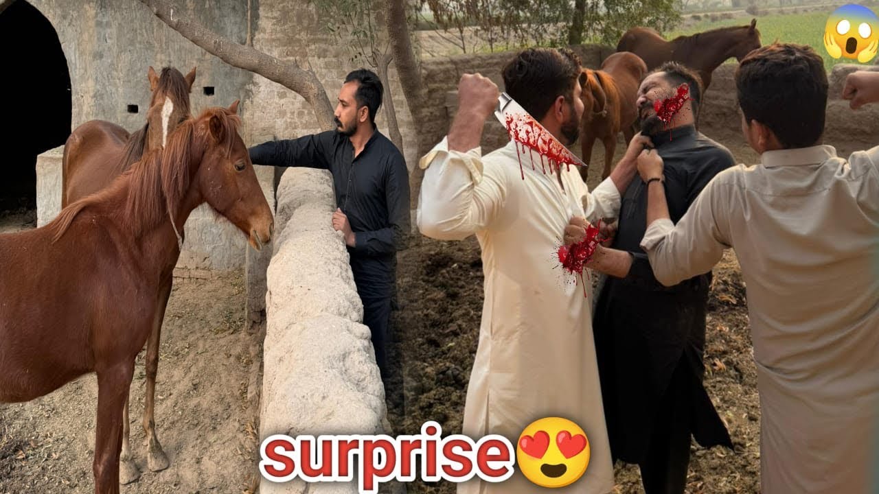 Big Surprise Coming Soon In Our Farm House😍