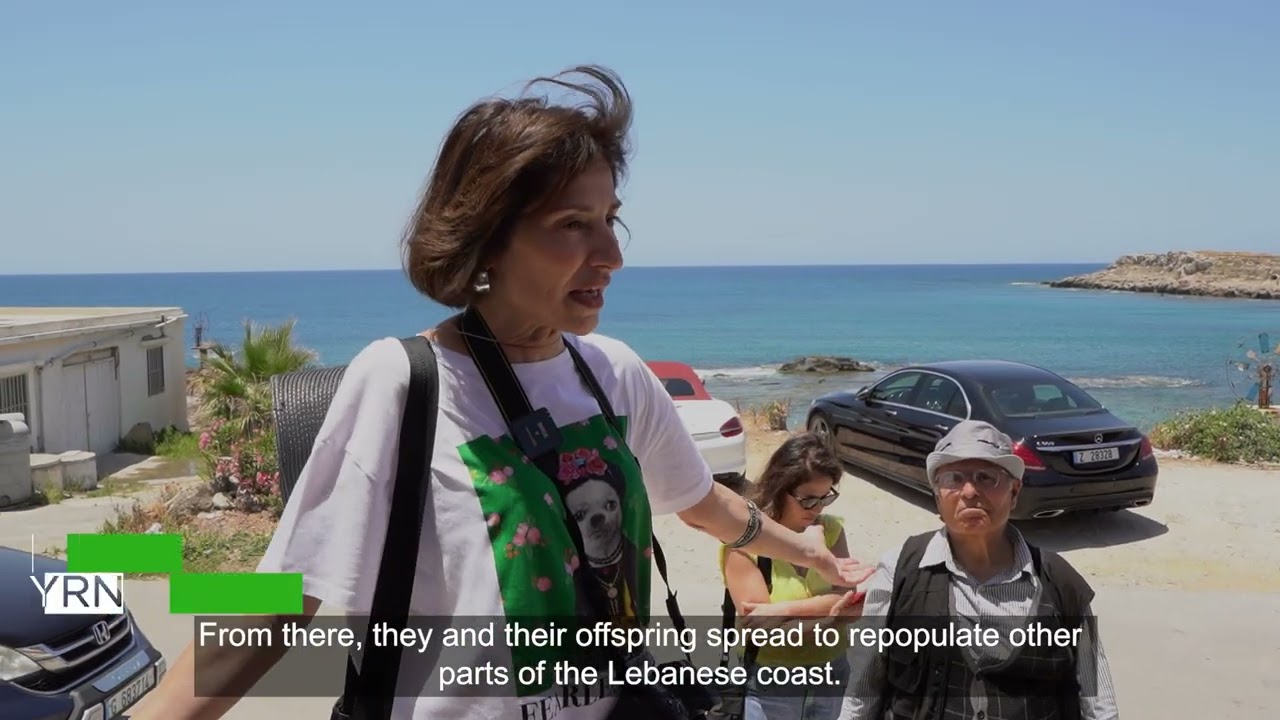 Anfeh Blue Tourism   2026