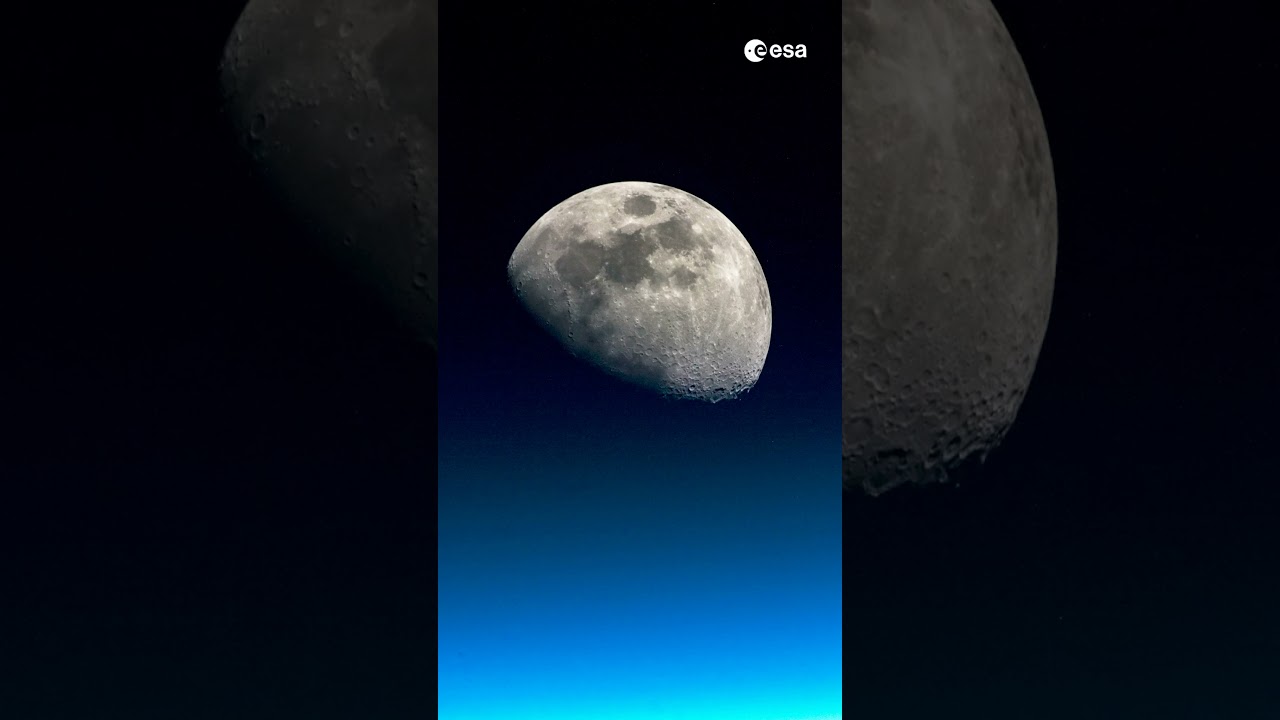 The Moon 🌔