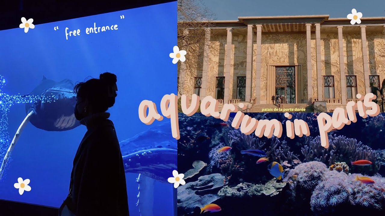Aquarium in Paris | free entrance for student!