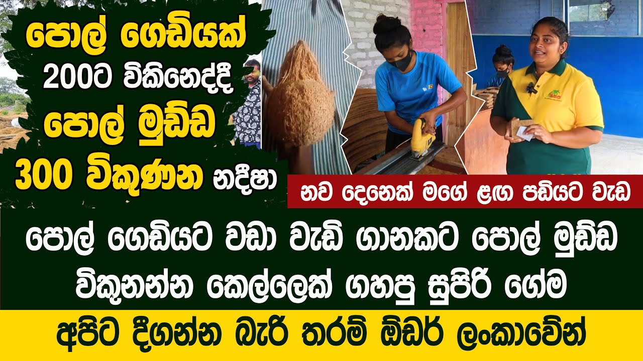 පොල් මුඩ්ඩක්  රුපියල් 300ට විකුණන අපේ රටේ කෙල්ල  - Hela Natural Lanka  Pvt Ltd