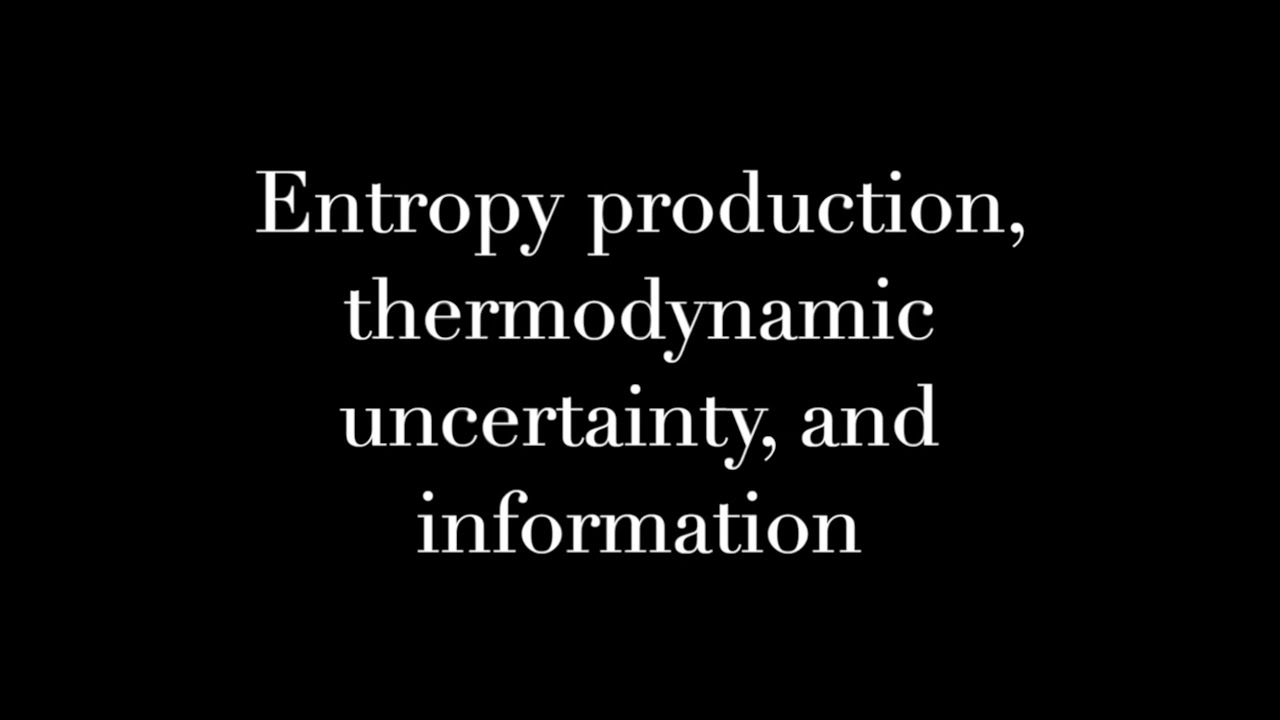 Entropy production, thermodynamic uncertainty, and information