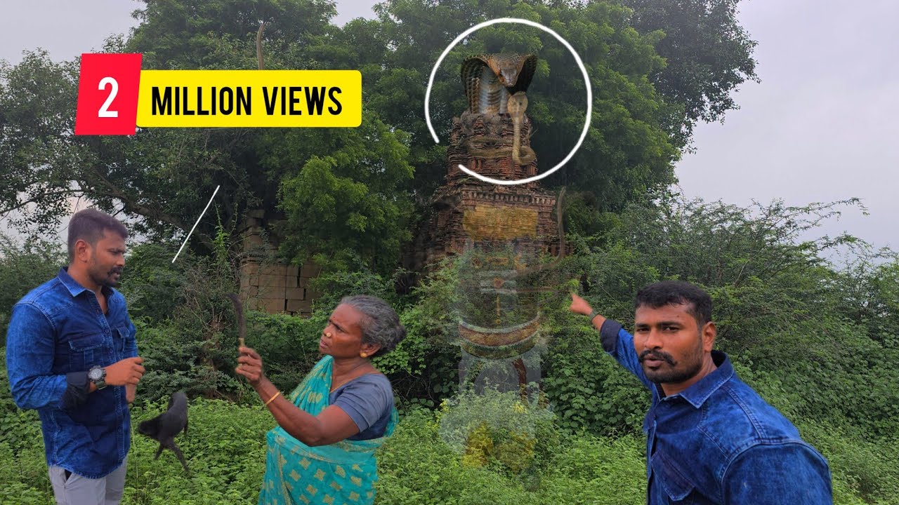😱😲🐍தம்பி இங்க பறக்கும் நாகம் இருக்கு  . என் கூட வா காட்டுறேன்
