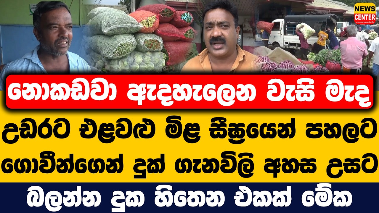 නොකඩවා ඇදහැලෙන වැසි මැද උඩරට එළවළු මිළ සීඝ්‍රයෙන් පහලට | ගොවීන්ගෙන් දුක් ගැනවිලි අහස උසට