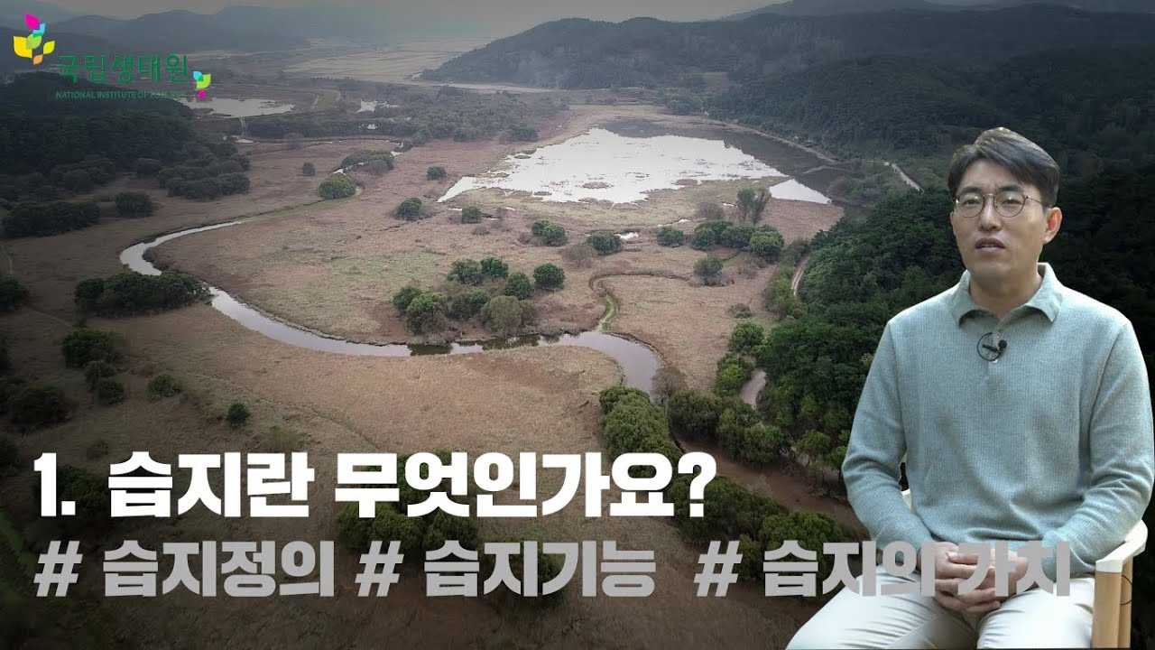 [국립생태원] 습지란 무엇인가요? ①