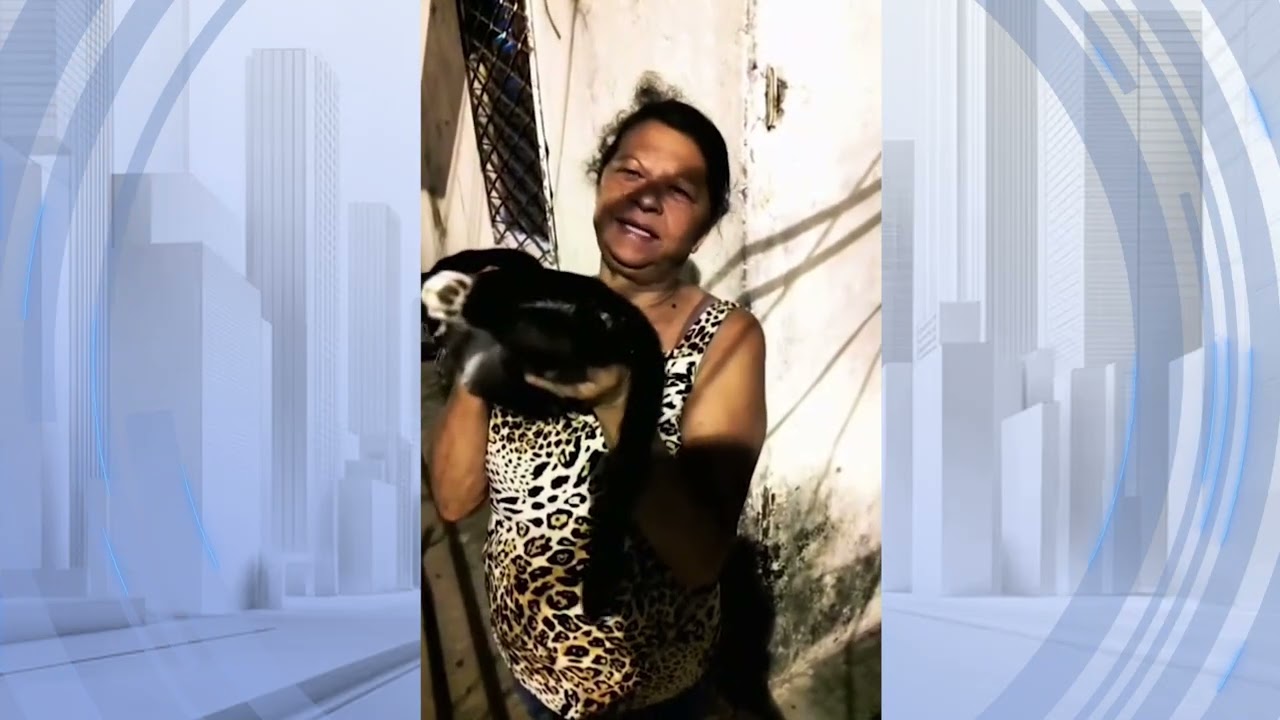 Acorda Povo - Filha mata a própria mãe dentro de apartamento com golpe de faca e asfixia com cano