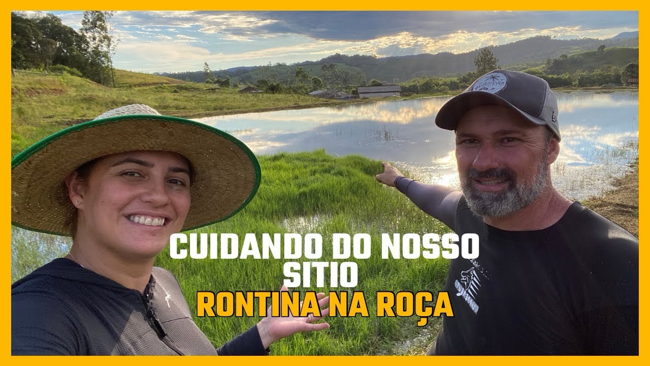 Cuidando do nosso sítio 🌿 | Limpeza do açude e rotina no interior