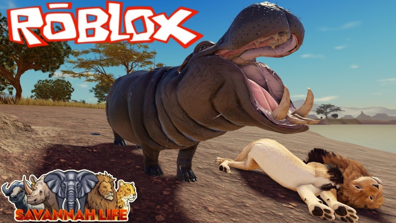 HIPOPÓTAMO ANIQUILADOR DE LEÕES ! SAVANNAH LIFE DA ROBLOX #roblox #savannahlife