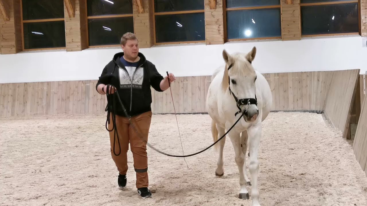 Się pogubiłem - czyli nauka lonżowania i pracy z ziemi + KONKURS