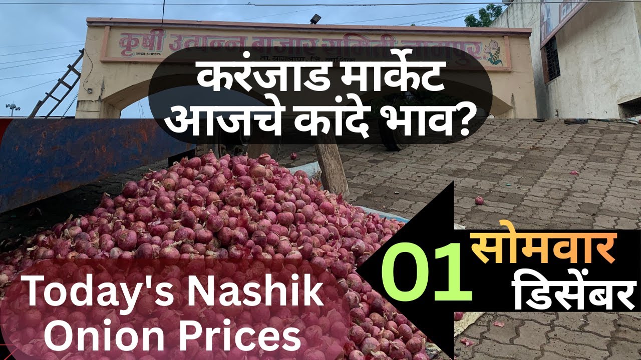 Karnjad Onion Price Today/01 December Nashik Onion Prices And Mandi Insights