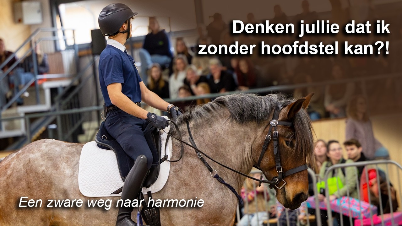 Demo met mijn trekpaard Bente  + exclusief kijkje achter de schermen!