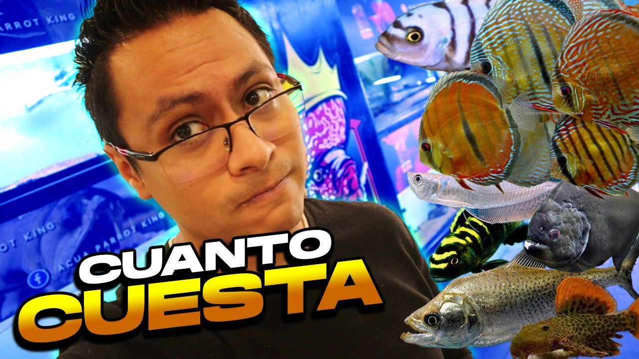 PRECIO de TODOS los PECES de Acua Parrot King