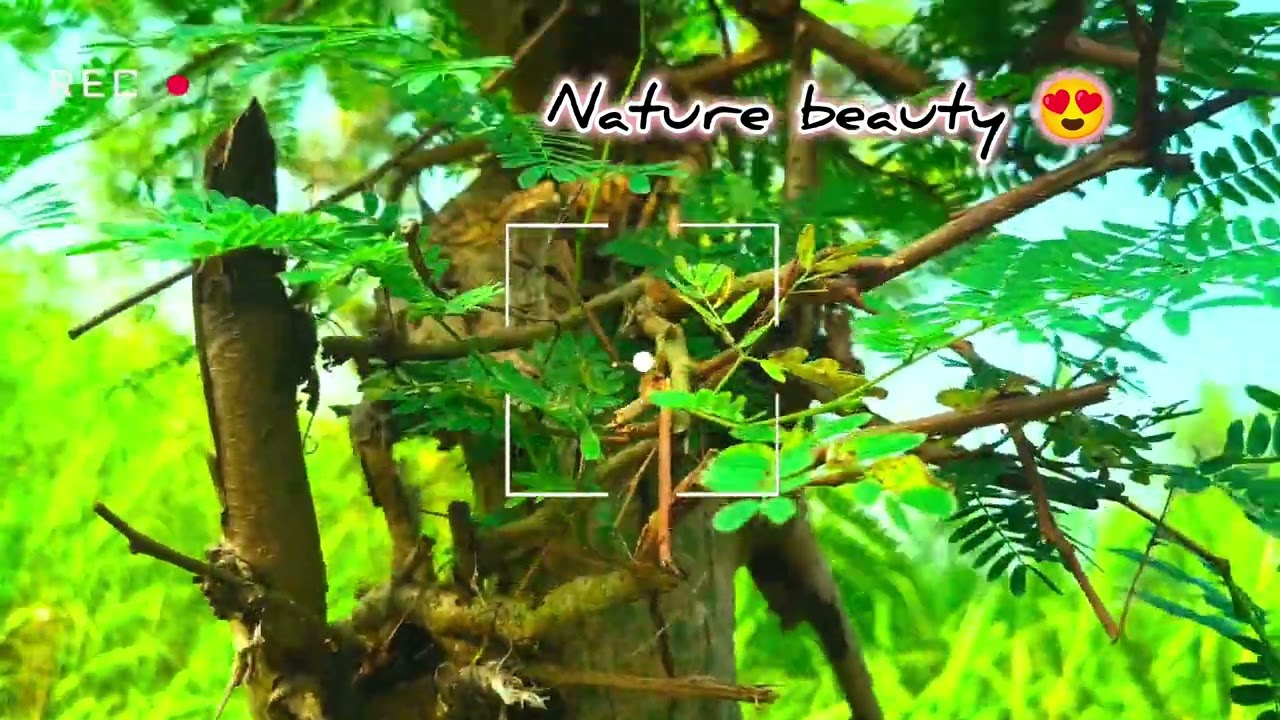 ‪@Natureba‬