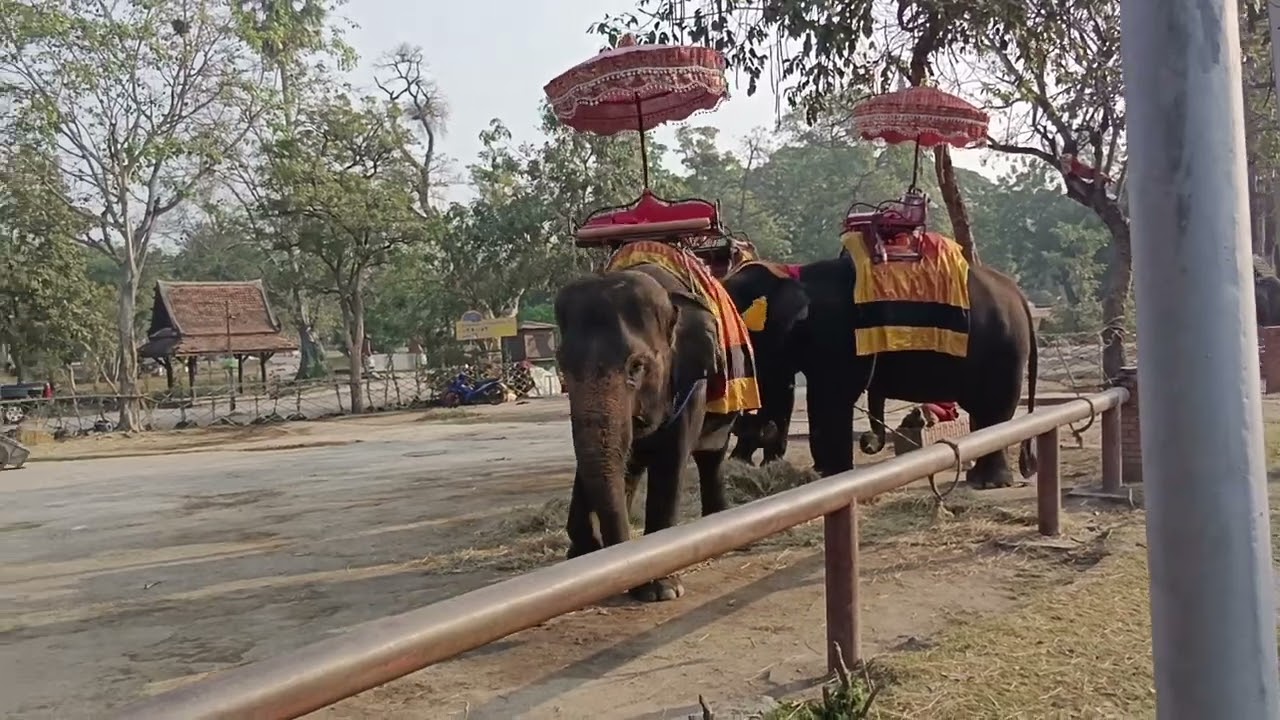 ล้างอัดฉีดคันใหญ่ซะขนาดนี้ ราคาต้องสูงงงง แน่ๆ