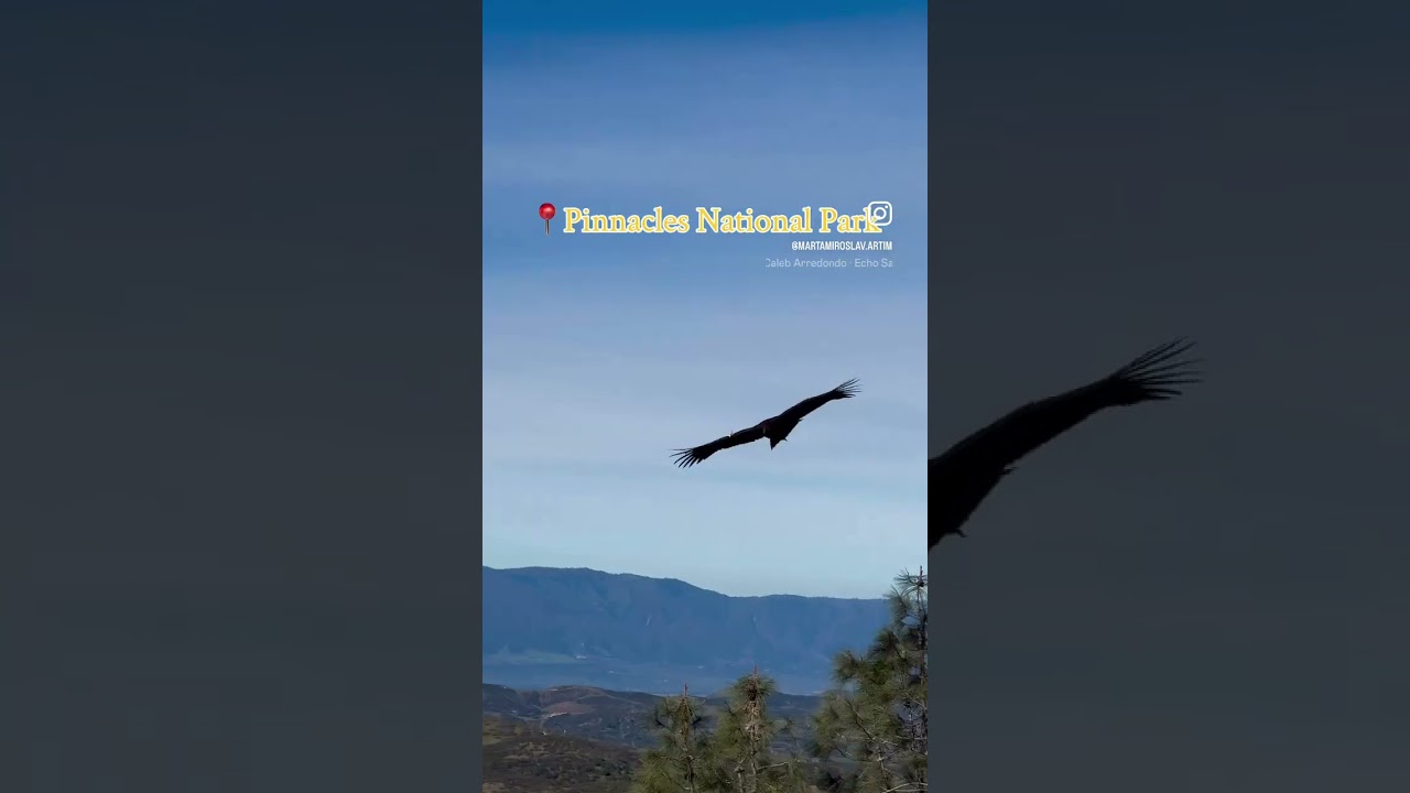 🗣️Hot take:This is the most underrated national park in California👀