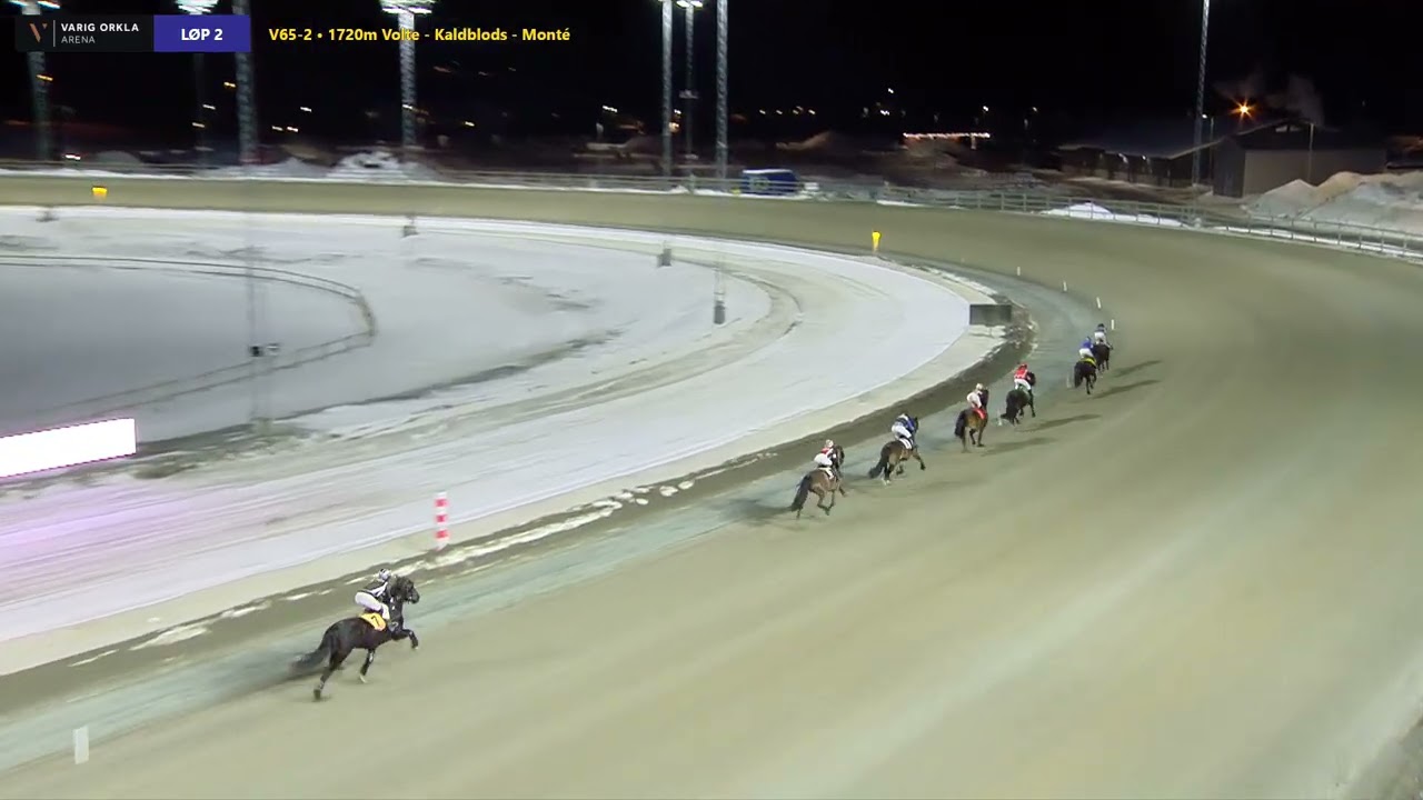 Varig Orkla Arena - Søndag 1. mars 2026 - Løp 2