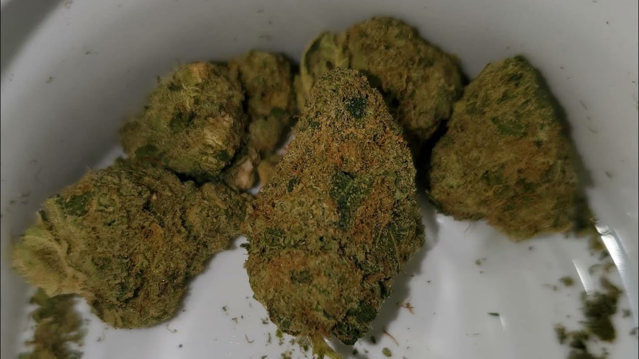 Strain Review Grasslands Hybrid By Sundial Growers