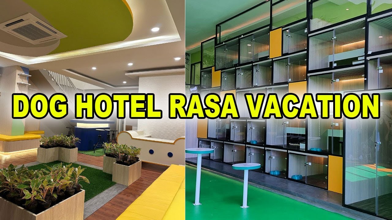 Penitipan Anjing Termanusiawi & Termewah - Pawradise Dog Hotel