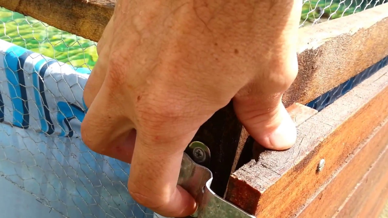 Piscina 1000ltrs adaptada para tartaruga