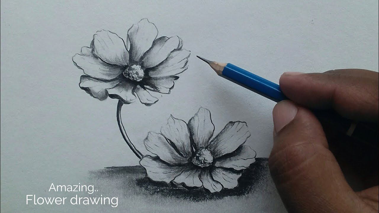 How to Draw a Flower Step by Step / drawing flowers with pencil shading easy
