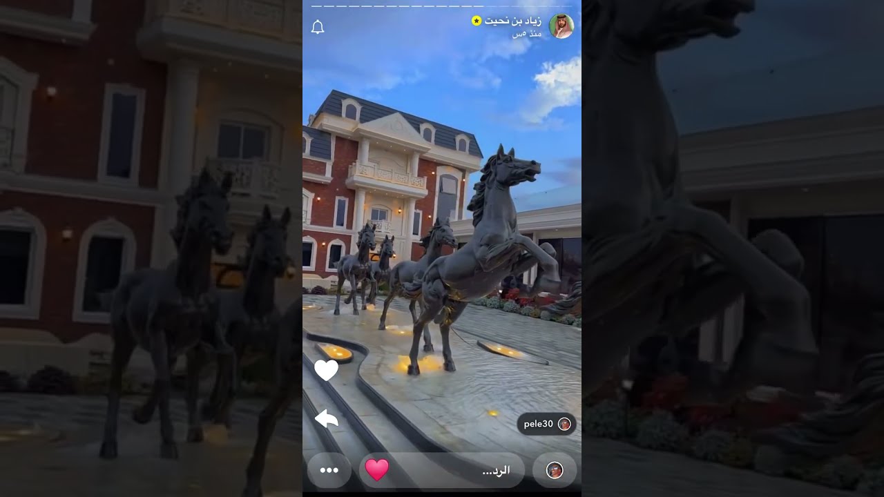 سنابات زياد بن نحيت بضيافة معالي الاستاد عبدالله ملفي الشهري في تنومة #رحلة_ربوع_بلادي 