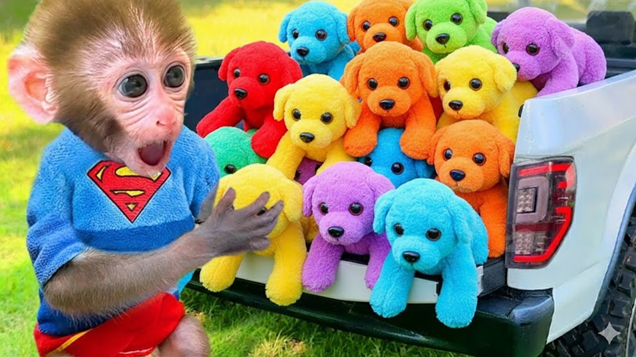 Macaquinho GoGo vê um UFO gigante e controla o clima | Gogo Family