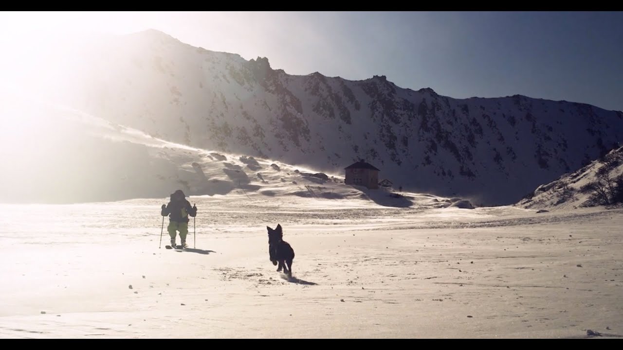 Reality is Gorgeous -- ALAN WATTS