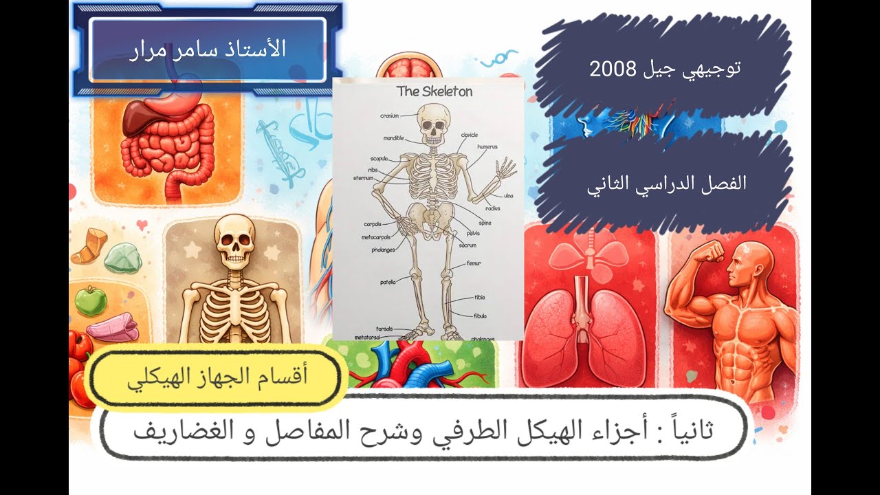18- الجهاز الهيكلي - ثانياً أجزاء الهيكل الطرفي و شرح عن المفاصل و الغضاريف