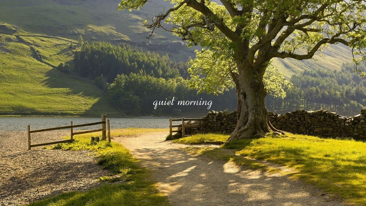 a playlist for a quiet morning ☘️🍃🌄