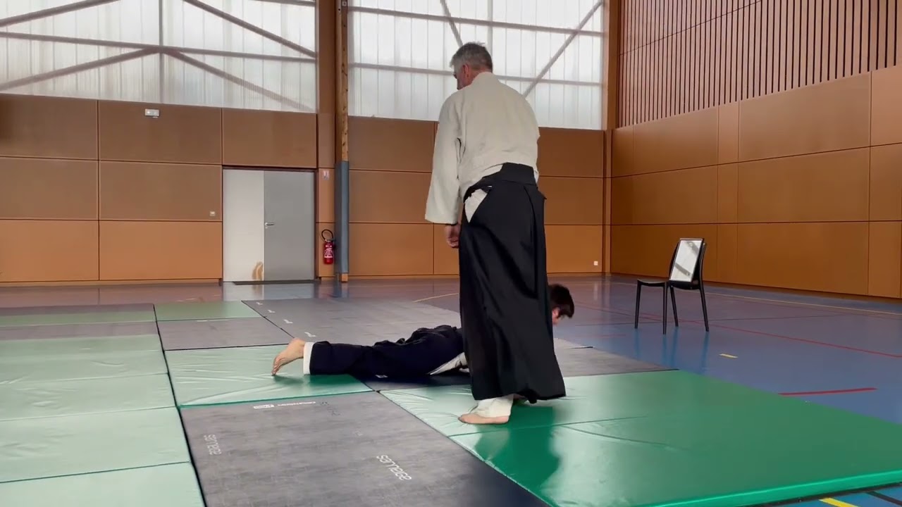 shomen uchi ikkyo, nikyo, sankyo, yonkyo, irimi nage, kote gaeshi, shiho nage, tenchi nage
