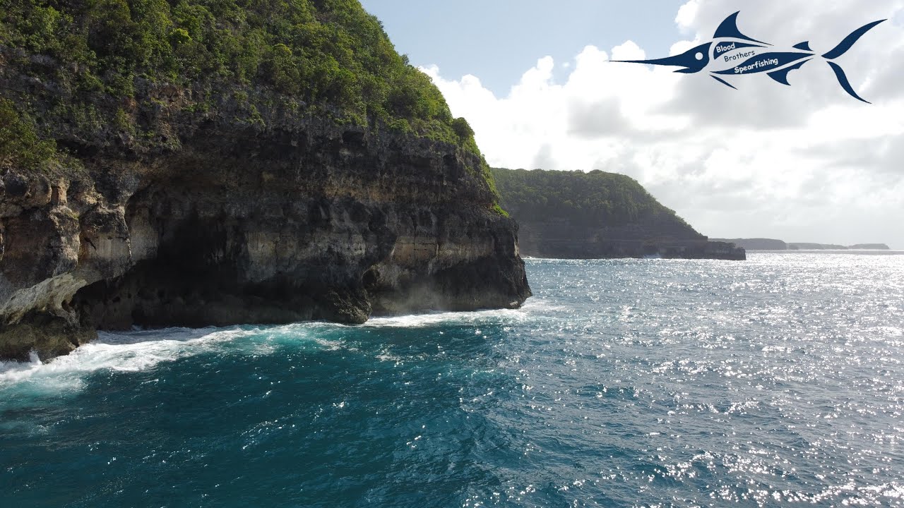 Caraibean Spearfishing Guadeloupe 2020 (BBS)