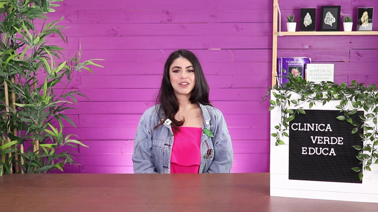 Conceptos B&aacute;sicos de Concentrados de Cannabis - Dabbing 101 - Parte 1
