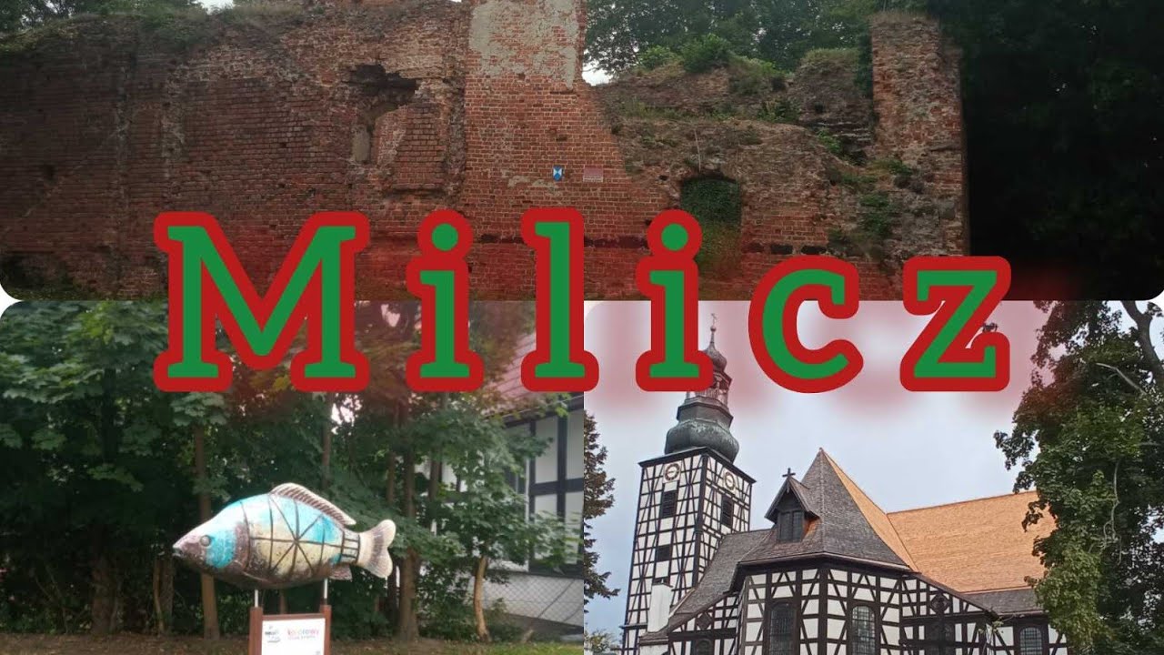 Niesamowita Polska: Milicz - kraina ryb i staw&oacute;w.