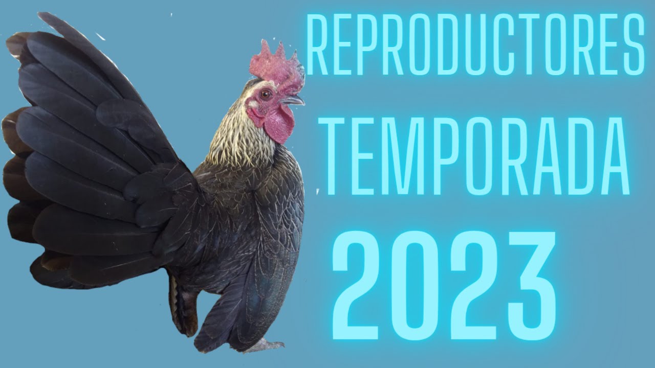 Reproductores Temporada 2023