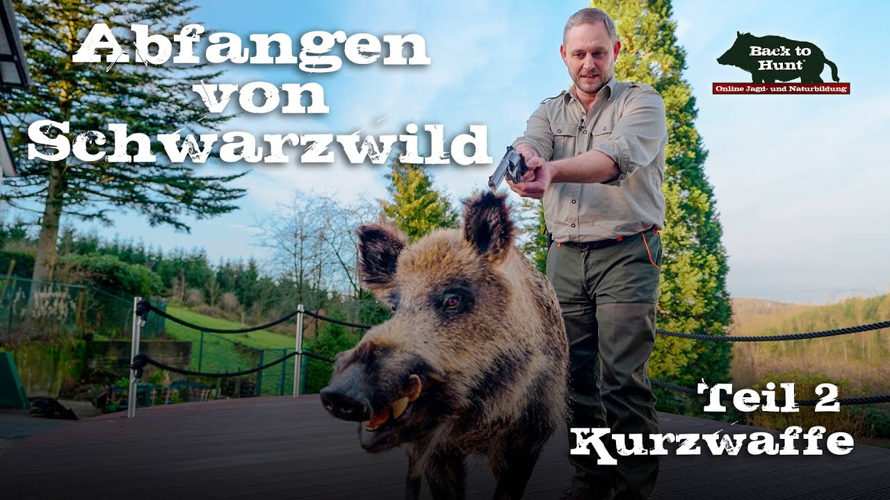 Abfangen von Schwarzwild | Teil 2: Kurzwaffe