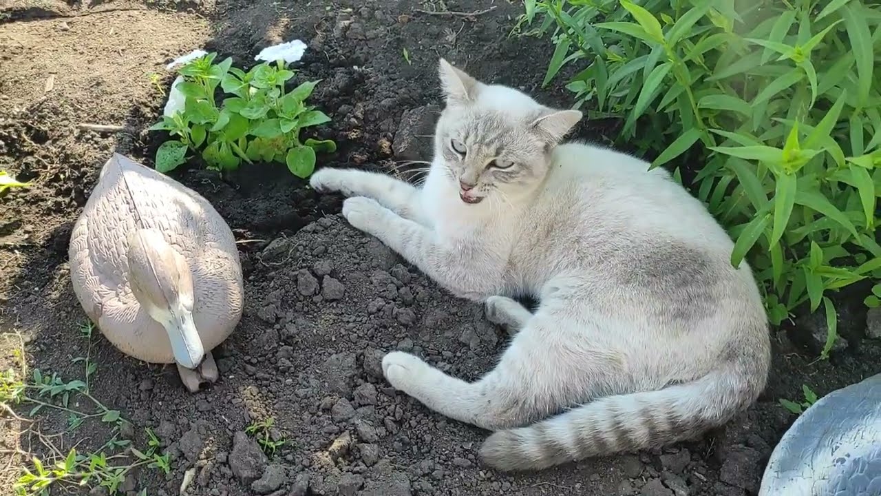 Посетили музей 👍/Купили газонокосилку 😉/Очень нравится светильники😉